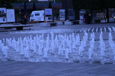 DSC_1633 (Large).JPG